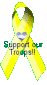 support.gif